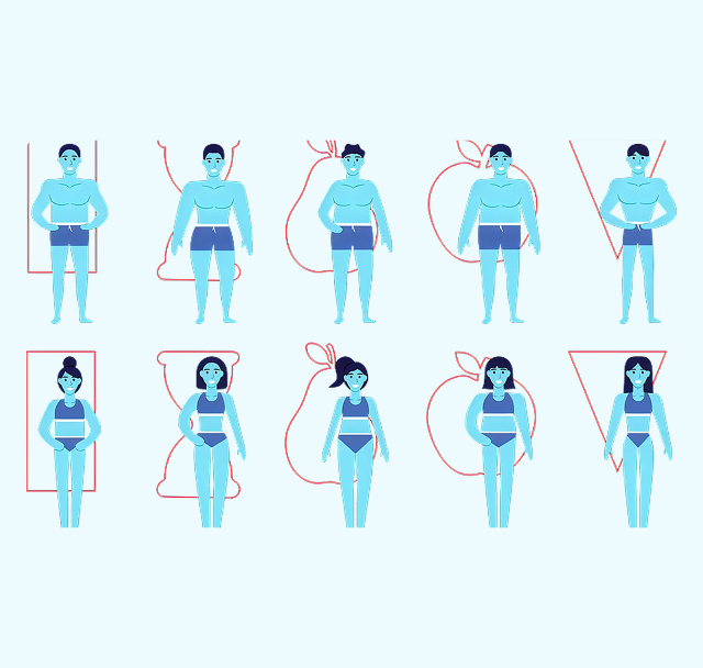 Designed for every body types - scale of human variation