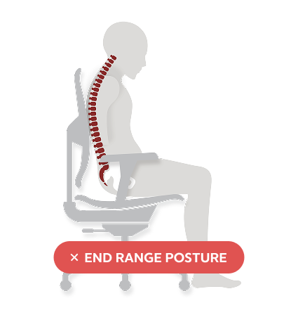 Anthros pelvic support mechanism closeup